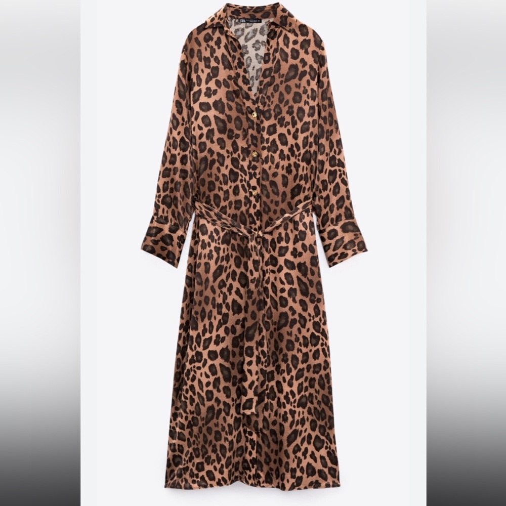 Zara Brown Leopard Print Long Sleeve Midi Dress